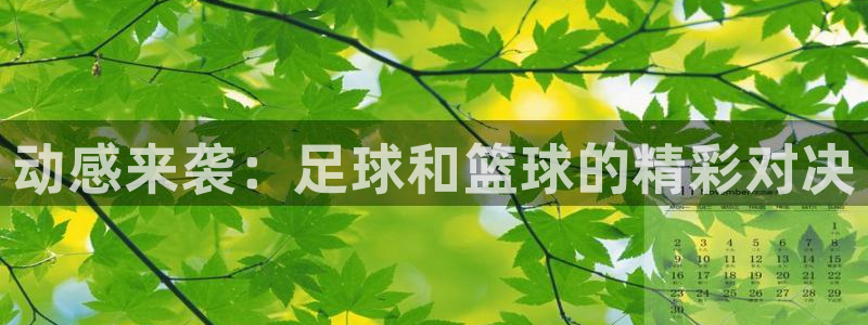 xc体育：动感来袭：足球和篮球的精彩对决