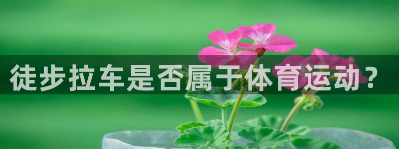 xc体育：徒步拉车是否属于体育运动？